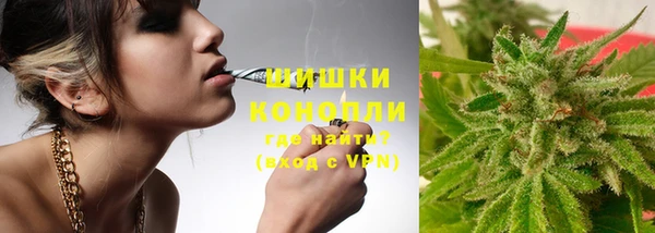гашик Белокуриха
