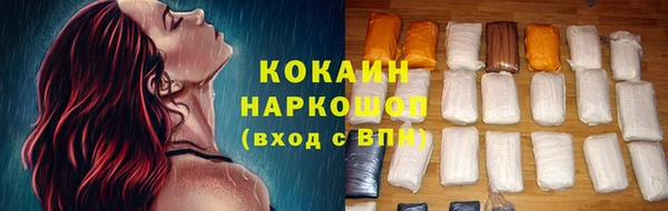 гашик Белокуриха
