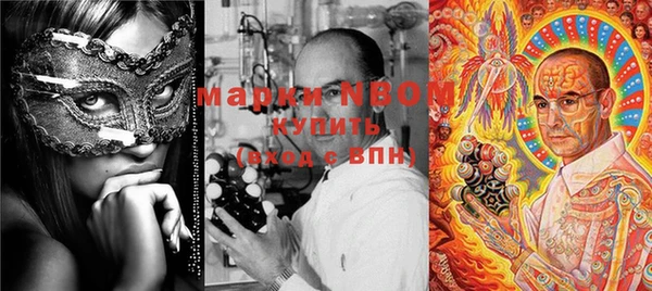 гашик Белокуриха
