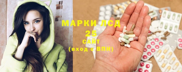 гашик Белокуриха