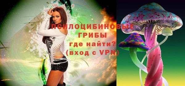 гашик Белокуриха