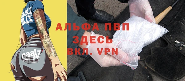 гашик Белокуриха