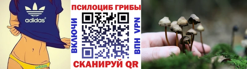 Купить где  Любим  Псилоцибиновые грибы MAGIC MUSHROOMS 